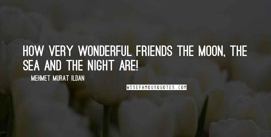 Mehmet Murat Ildan Quotes: How very wonderful friends the moon, the sea and the night are!