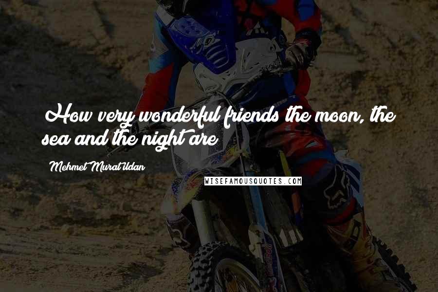 Mehmet Murat Ildan Quotes: How very wonderful friends the moon, the sea and the night are!