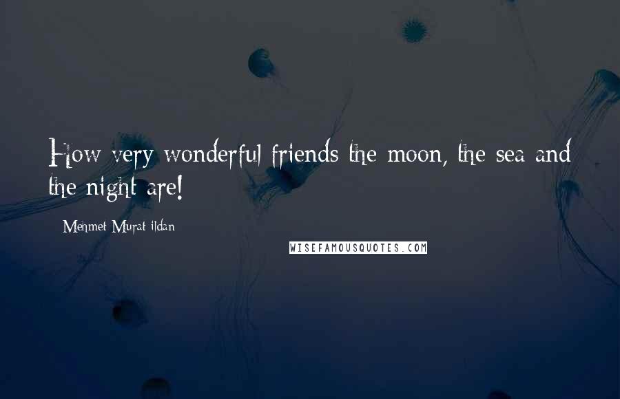 Mehmet Murat Ildan Quotes: How very wonderful friends the moon, the sea and the night are!