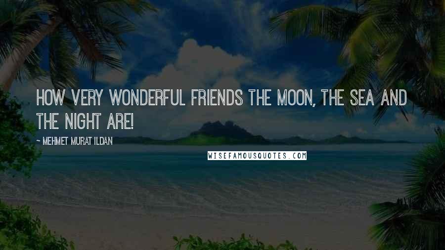 Mehmet Murat Ildan Quotes: How very wonderful friends the moon, the sea and the night are!