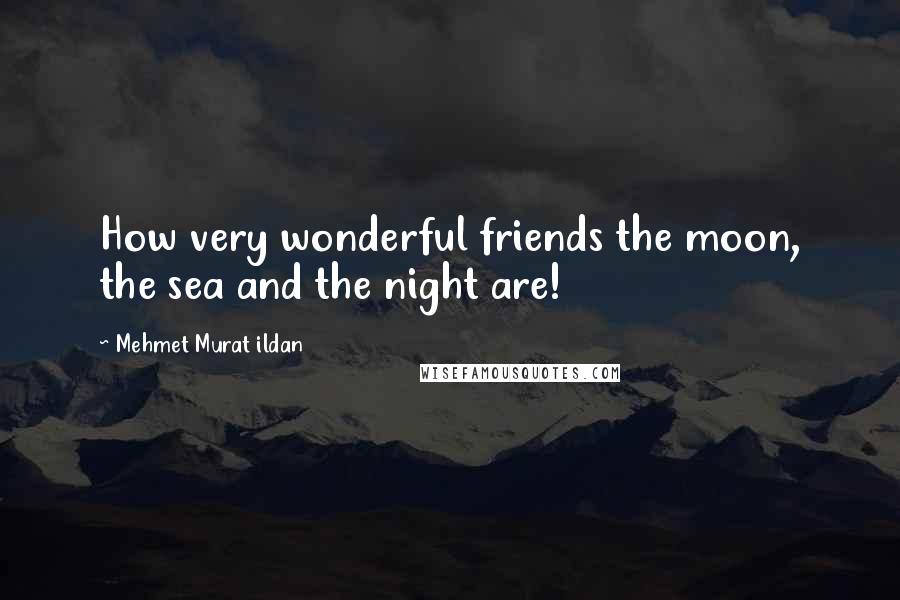 Mehmet Murat Ildan Quotes: How very wonderful friends the moon, the sea and the night are!