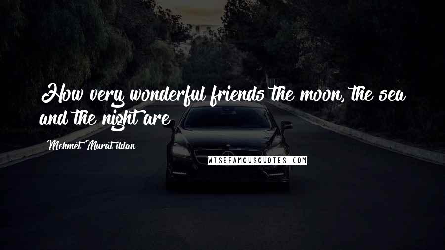 Mehmet Murat Ildan Quotes: How very wonderful friends the moon, the sea and the night are!