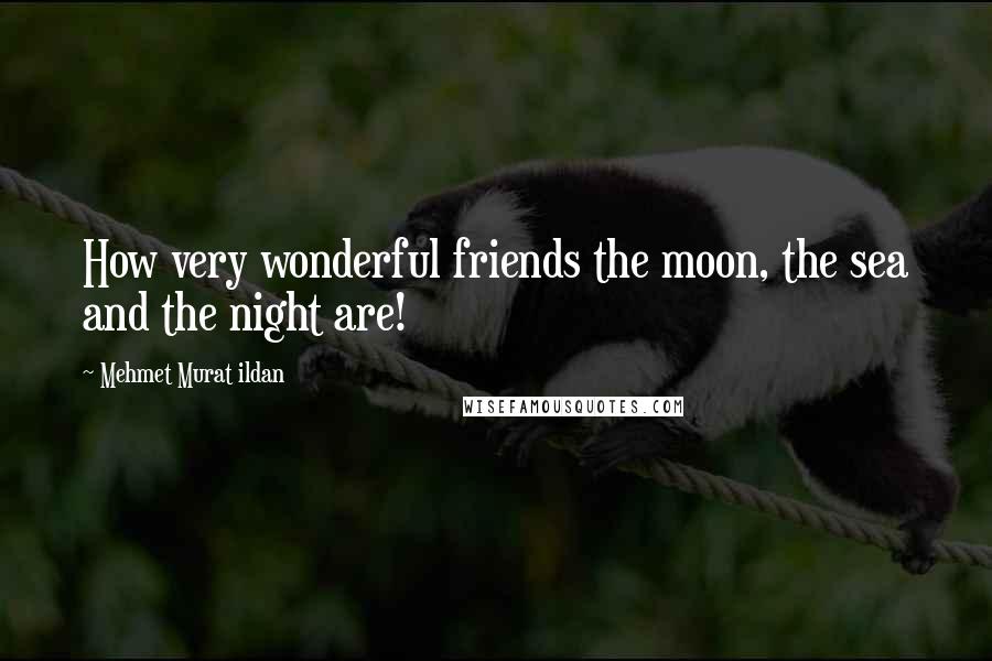 Mehmet Murat Ildan Quotes: How very wonderful friends the moon, the sea and the night are!