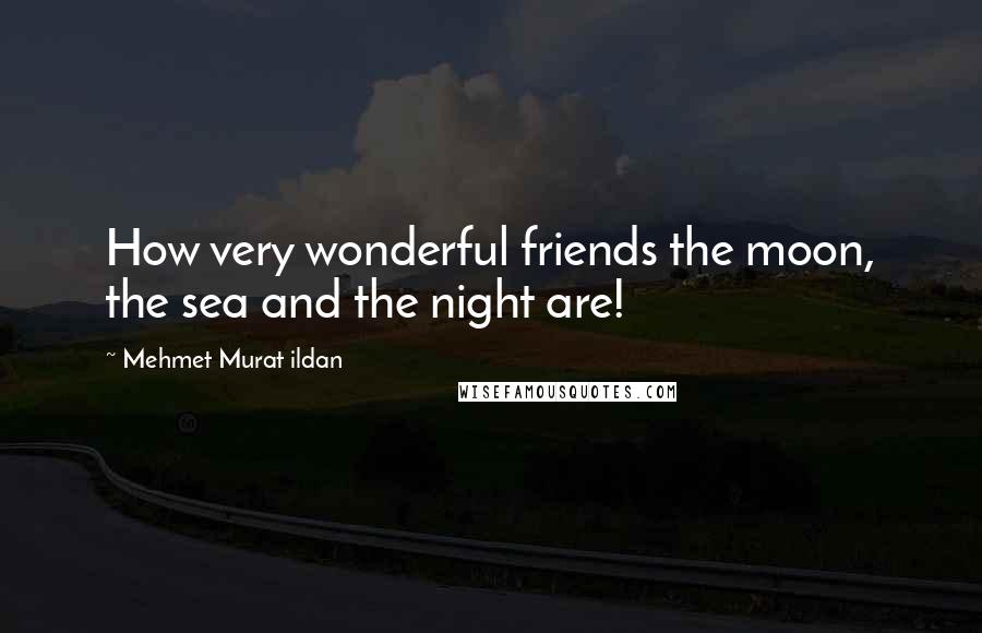 Mehmet Murat Ildan Quotes: How very wonderful friends the moon, the sea and the night are!