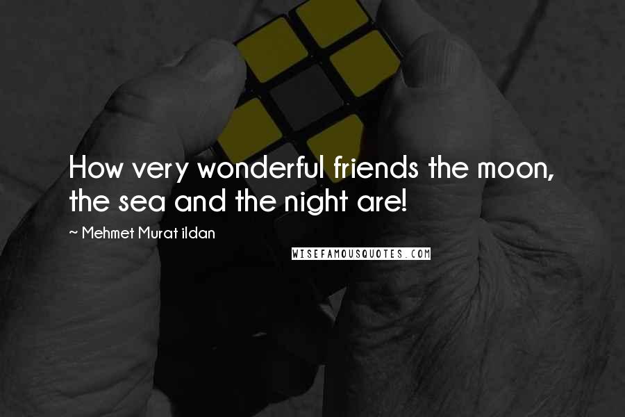 Mehmet Murat Ildan Quotes: How very wonderful friends the moon, the sea and the night are!