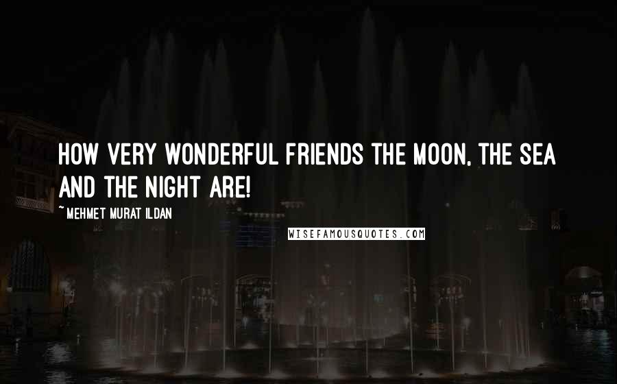 Mehmet Murat Ildan Quotes: How very wonderful friends the moon, the sea and the night are!