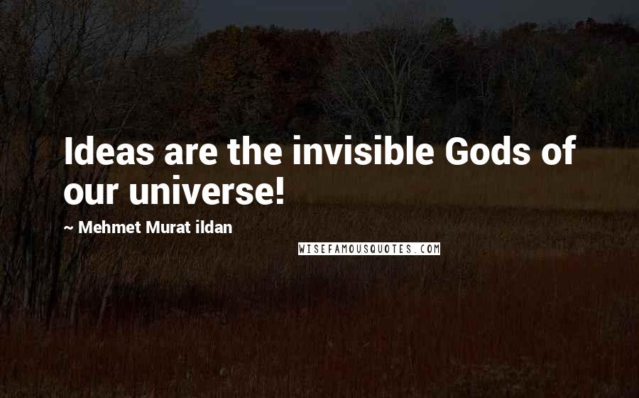 Mehmet Murat Ildan Quotes: Ideas are the invisible Gods of our universe!