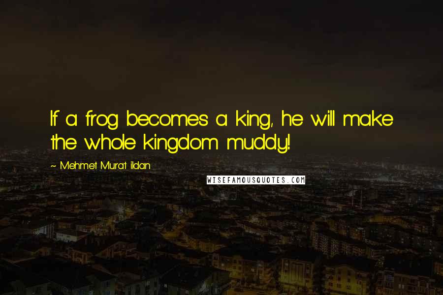 Mehmet Murat Ildan Quotes: If a frog becomes a king, he will make the whole kingdom muddy!