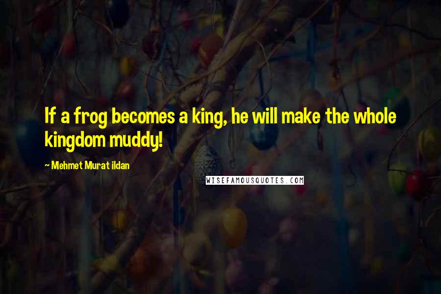 Mehmet Murat Ildan Quotes: If a frog becomes a king, he will make the whole kingdom muddy!