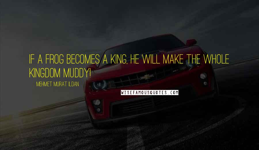 Mehmet Murat Ildan Quotes: If a frog becomes a king, he will make the whole kingdom muddy!