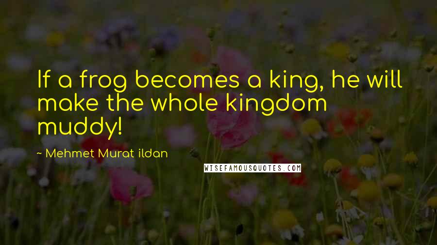 Mehmet Murat Ildan Quotes: If a frog becomes a king, he will make the whole kingdom muddy!