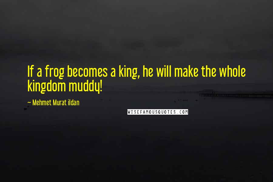 Mehmet Murat Ildan Quotes: If a frog becomes a king, he will make the whole kingdom muddy!