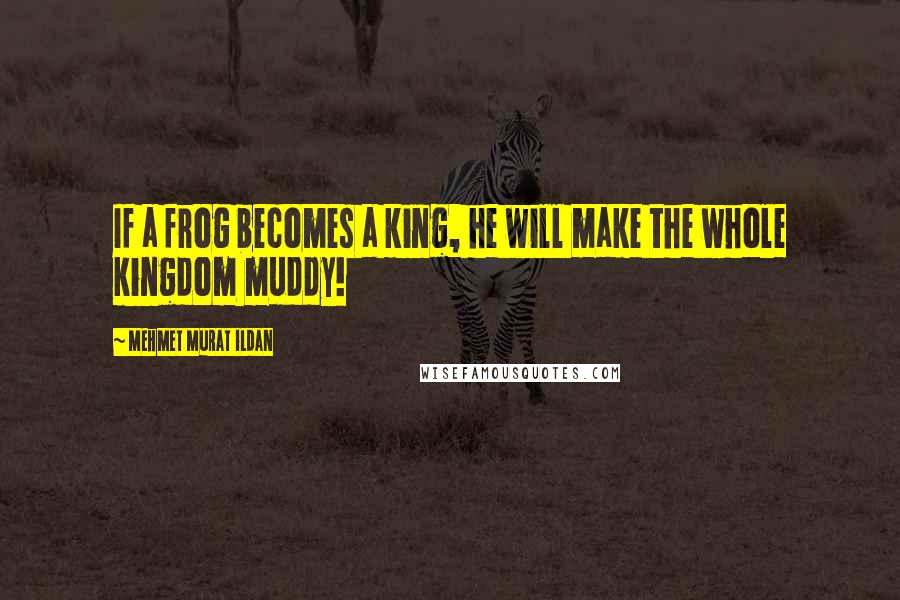 Mehmet Murat Ildan Quotes: If a frog becomes a king, he will make the whole kingdom muddy!