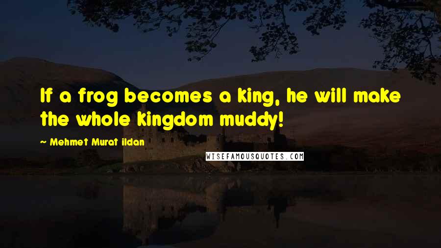 Mehmet Murat Ildan Quotes: If a frog becomes a king, he will make the whole kingdom muddy!