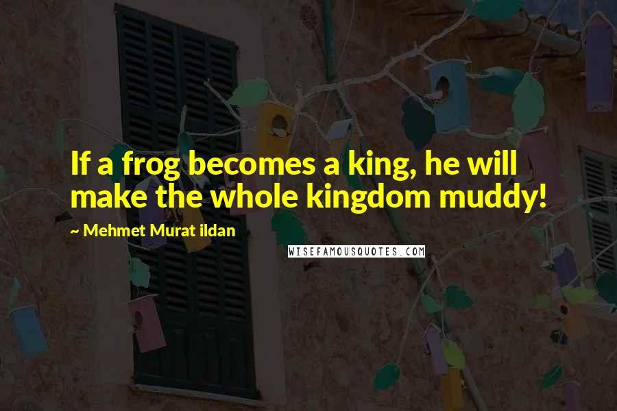 Mehmet Murat Ildan Quotes: If a frog becomes a king, he will make the whole kingdom muddy!