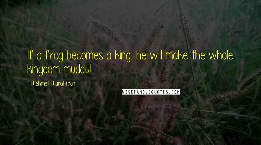 Mehmet Murat Ildan Quotes: If a frog becomes a king, he will make the whole kingdom muddy!