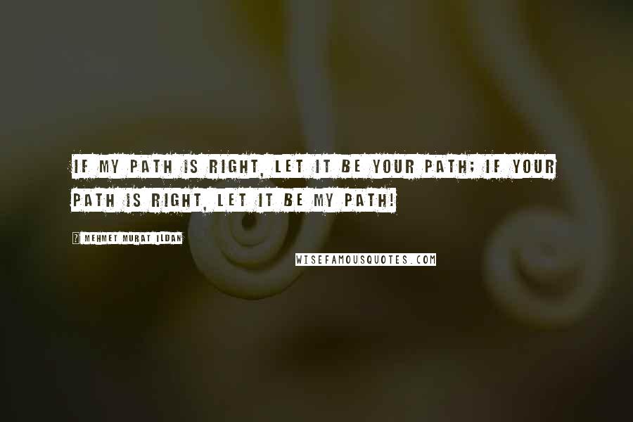 Mehmet Murat Ildan Quotes: If my path is right, let it be your path; if your path is right, let it be my path!
