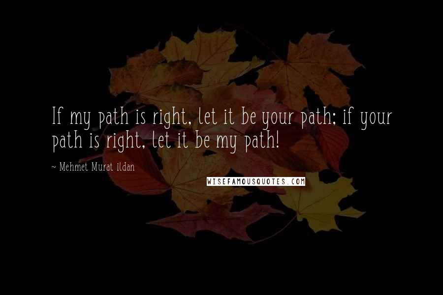 Mehmet Murat Ildan Quotes: If my path is right, let it be your path; if your path is right, let it be my path!