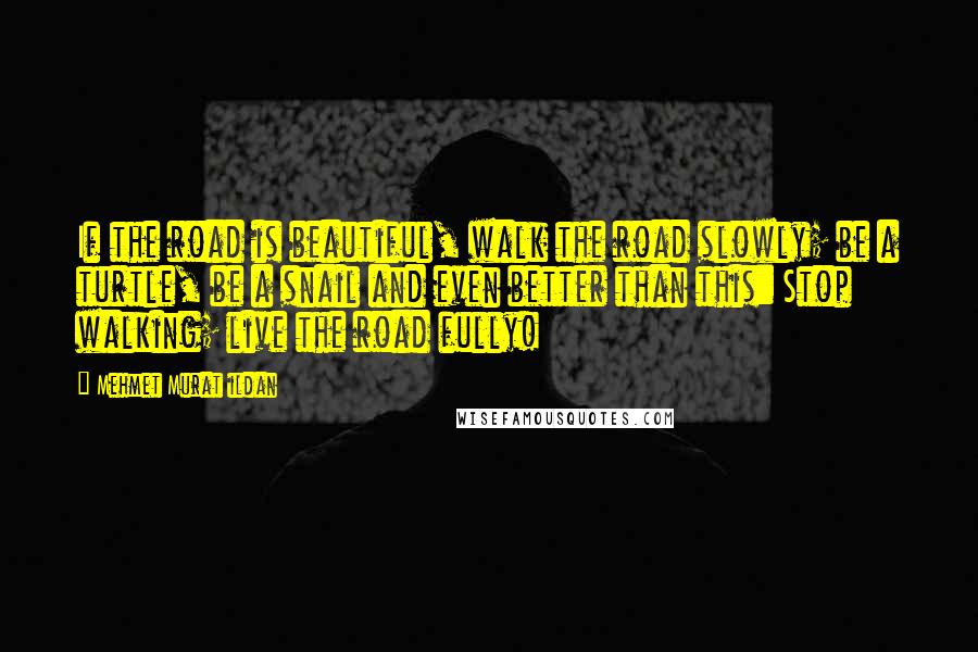 Mehmet Murat Ildan Quotes: If the road is beautiful, walk the road slowly; be a turtle, be a snail and even better than this: Stop walking; live the road fully!