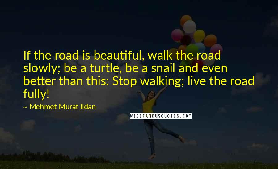 Mehmet Murat Ildan Quotes: If the road is beautiful, walk the road slowly; be a turtle, be a snail and even better than this: Stop walking; live the road fully!