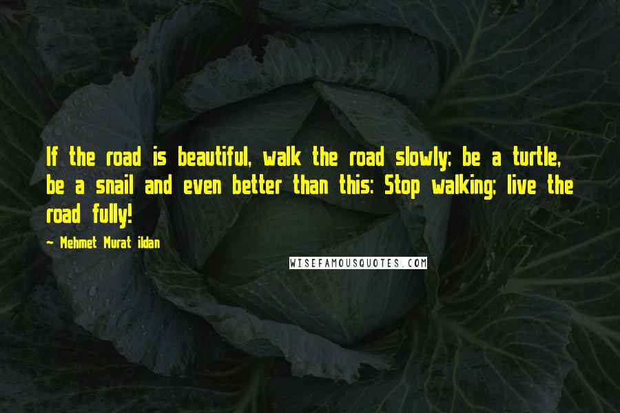 Mehmet Murat Ildan Quotes: If the road is beautiful, walk the road slowly; be a turtle, be a snail and even better than this: Stop walking; live the road fully!