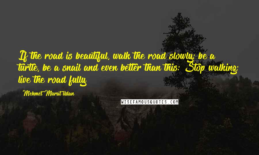 Mehmet Murat Ildan Quotes: If the road is beautiful, walk the road slowly; be a turtle, be a snail and even better than this: Stop walking; live the road fully!