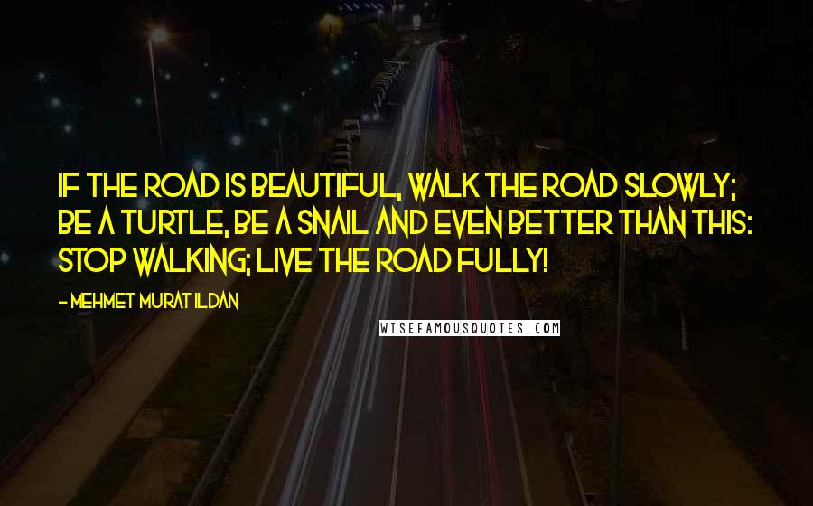 Mehmet Murat Ildan Quotes: If the road is beautiful, walk the road slowly; be a turtle, be a snail and even better than this: Stop walking; live the road fully!