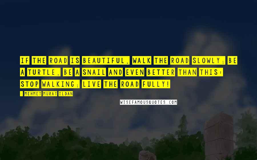 Mehmet Murat Ildan Quotes: If the road is beautiful, walk the road slowly; be a turtle, be a snail and even better than this: Stop walking; live the road fully!