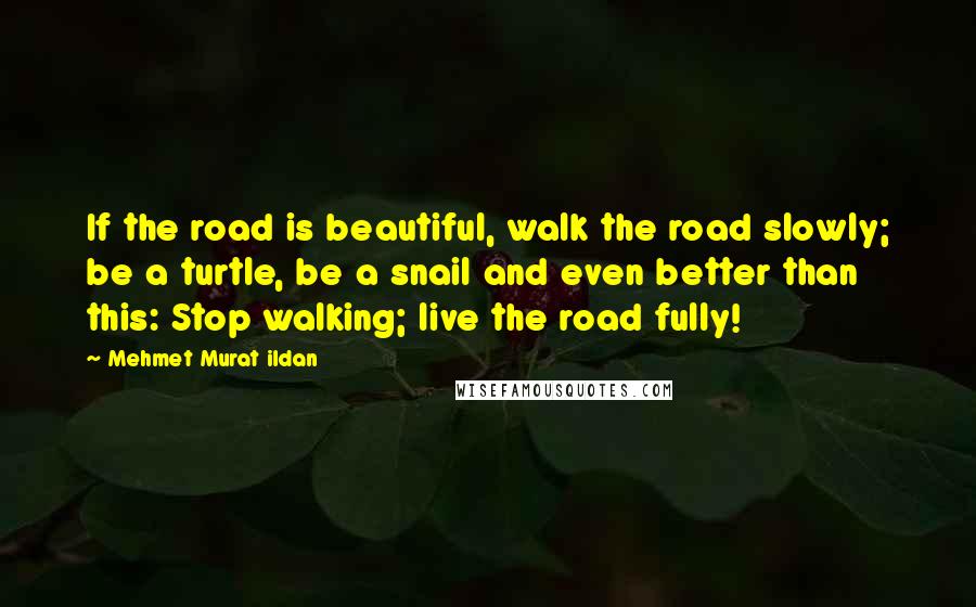 Mehmet Murat Ildan Quotes: If the road is beautiful, walk the road slowly; be a turtle, be a snail and even better than this: Stop walking; live the road fully!