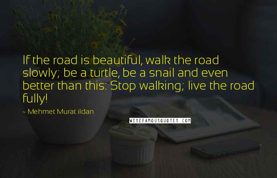 Mehmet Murat Ildan Quotes: If the road is beautiful, walk the road slowly; be a turtle, be a snail and even better than this: Stop walking; live the road fully!