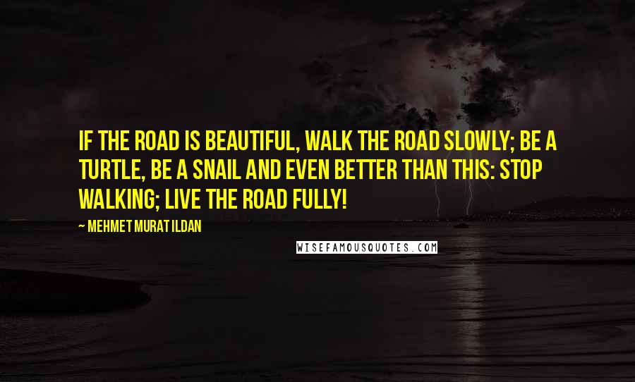 Mehmet Murat Ildan Quotes: If the road is beautiful, walk the road slowly; be a turtle, be a snail and even better than this: Stop walking; live the road fully!