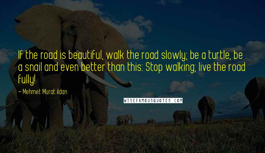 Mehmet Murat Ildan Quotes: If the road is beautiful, walk the road slowly; be a turtle, be a snail and even better than this: Stop walking; live the road fully!