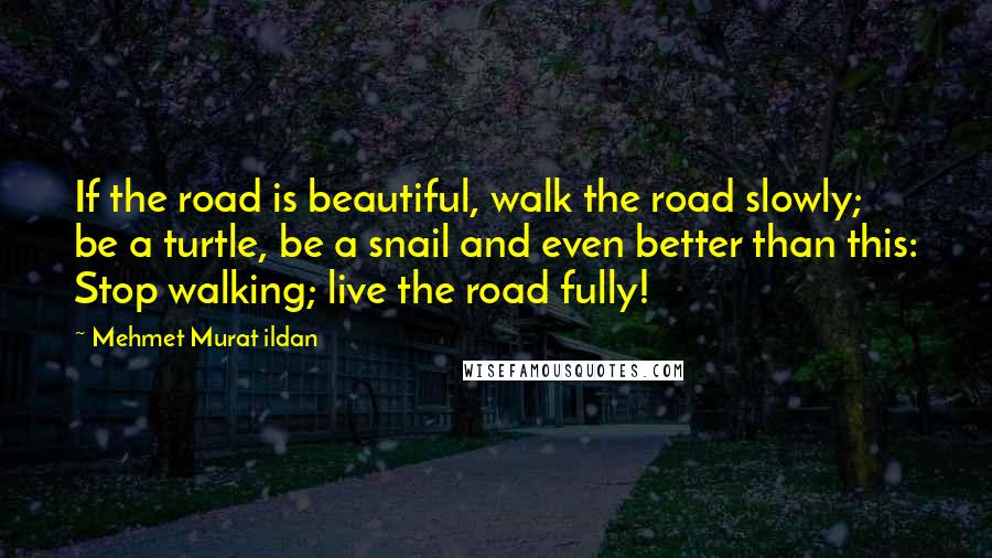 Mehmet Murat Ildan Quotes: If the road is beautiful, walk the road slowly; be a turtle, be a snail and even better than this: Stop walking; live the road fully!