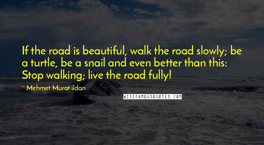Mehmet Murat Ildan Quotes: If the road is beautiful, walk the road slowly; be a turtle, be a snail and even better than this: Stop walking; live the road fully!