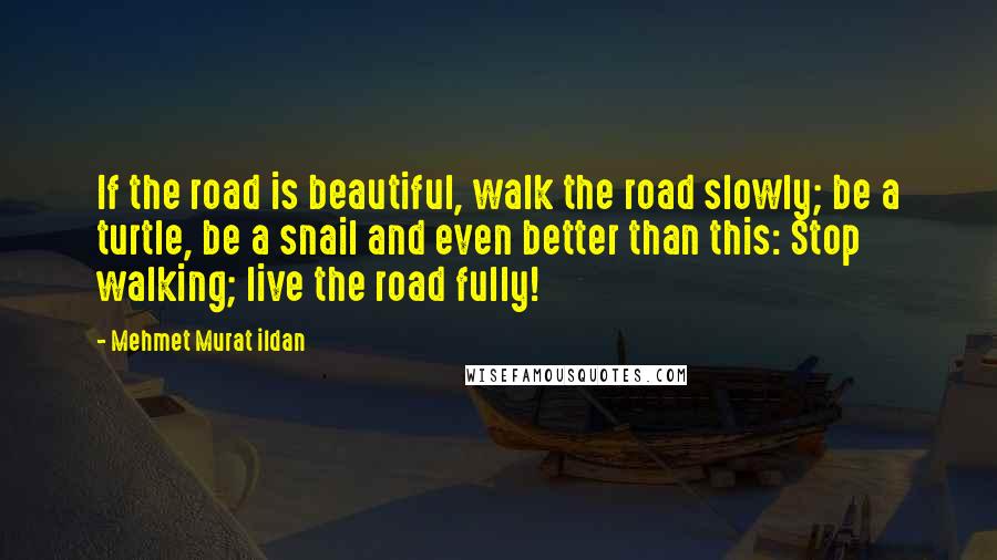 Mehmet Murat Ildan Quotes: If the road is beautiful, walk the road slowly; be a turtle, be a snail and even better than this: Stop walking; live the road fully!