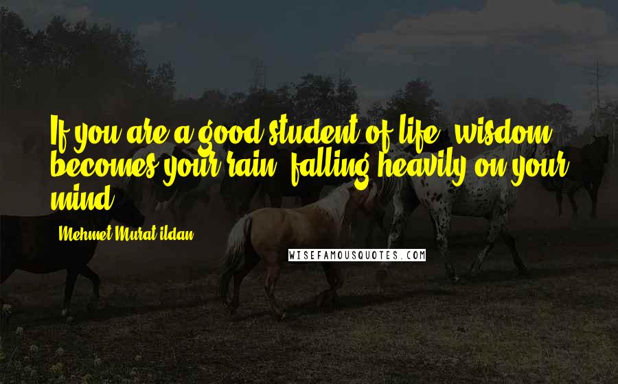 Mehmet Murat Ildan Quotes: If you are a good student of life, wisdom becomes your rain, falling heavily on your mind!