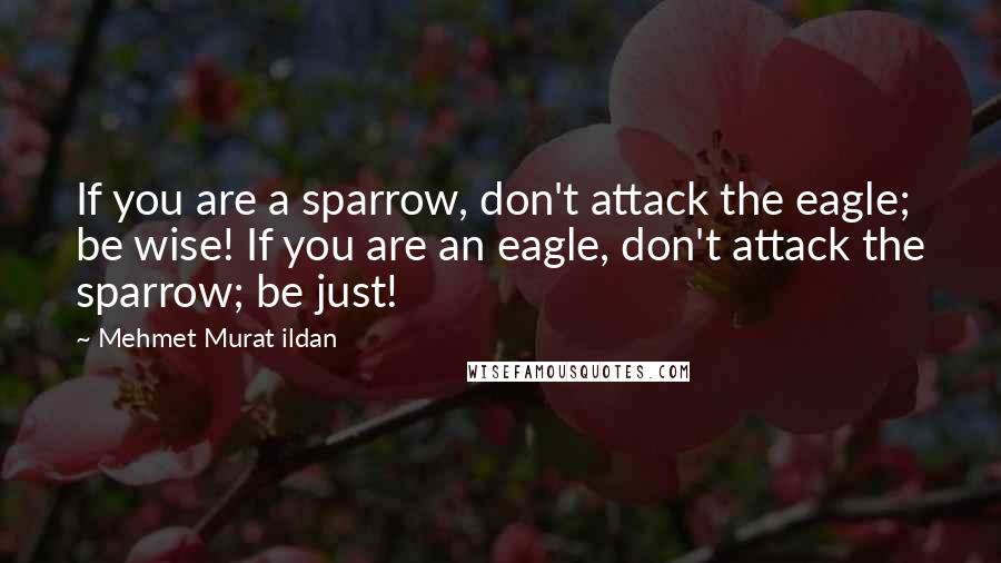 Mehmet Murat Ildan Quotes: If you are a sparrow, don't attack the eagle; be wise! If you are an eagle, don't attack the sparrow; be just!
