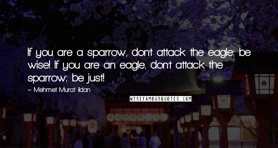 Mehmet Murat Ildan Quotes: If you are a sparrow, don't attack the eagle; be wise! If you are an eagle, don't attack the sparrow; be just!
