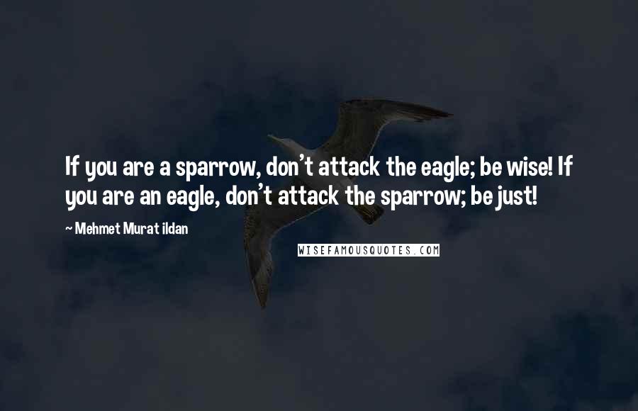Mehmet Murat Ildan Quotes: If you are a sparrow, don't attack the eagle; be wise! If you are an eagle, don't attack the sparrow; be just!