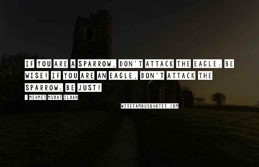 Mehmet Murat Ildan Quotes: If you are a sparrow, don't attack the eagle; be wise! If you are an eagle, don't attack the sparrow; be just!