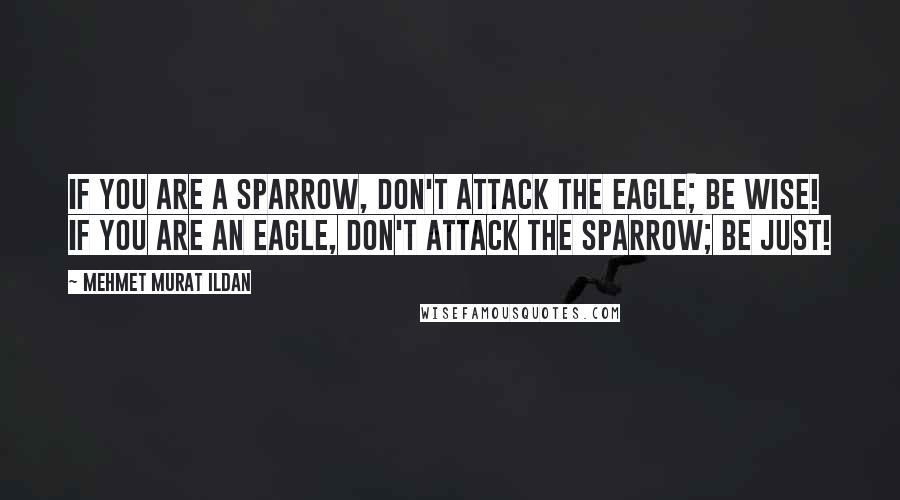 Mehmet Murat Ildan Quotes: If you are a sparrow, don't attack the eagle; be wise! If you are an eagle, don't attack the sparrow; be just!
