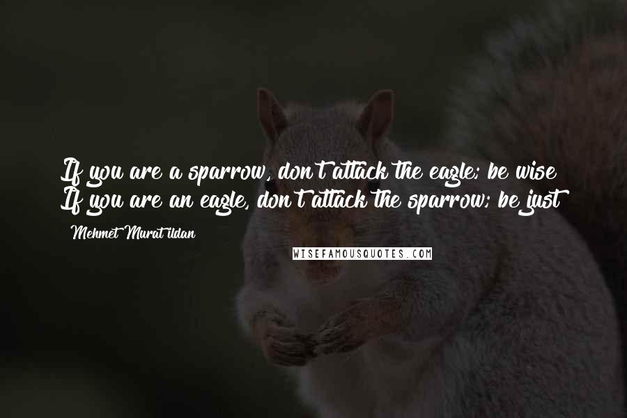 Mehmet Murat Ildan Quotes: If you are a sparrow, don't attack the eagle; be wise! If you are an eagle, don't attack the sparrow; be just!