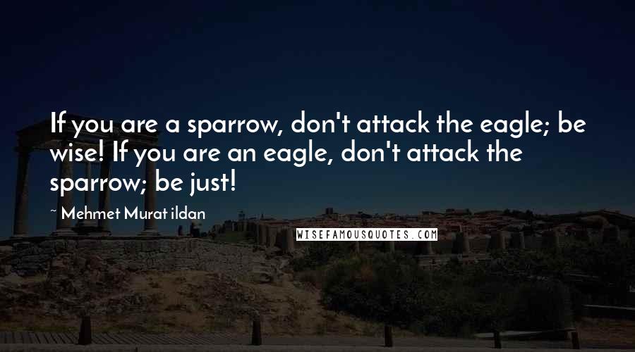 Mehmet Murat Ildan Quotes: If you are a sparrow, don't attack the eagle; be wise! If you are an eagle, don't attack the sparrow; be just!