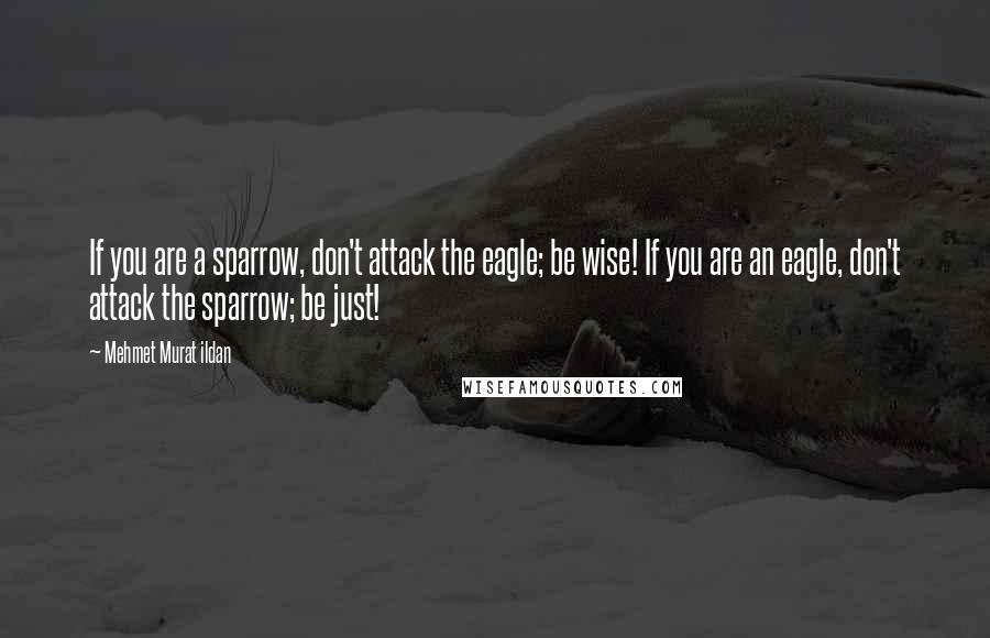 Mehmet Murat Ildan Quotes: If you are a sparrow, don't attack the eagle; be wise! If you are an eagle, don't attack the sparrow; be just!