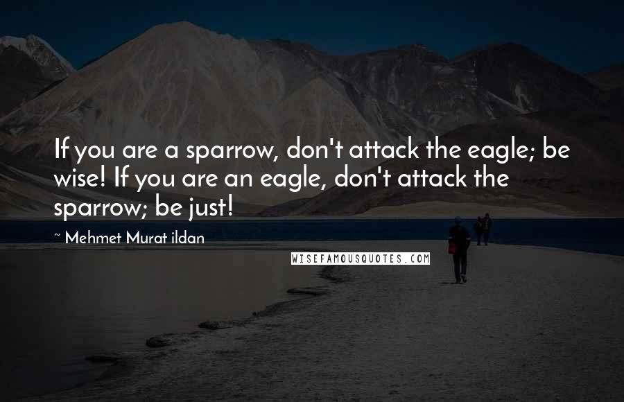Mehmet Murat Ildan Quotes: If you are a sparrow, don't attack the eagle; be wise! If you are an eagle, don't attack the sparrow; be just!