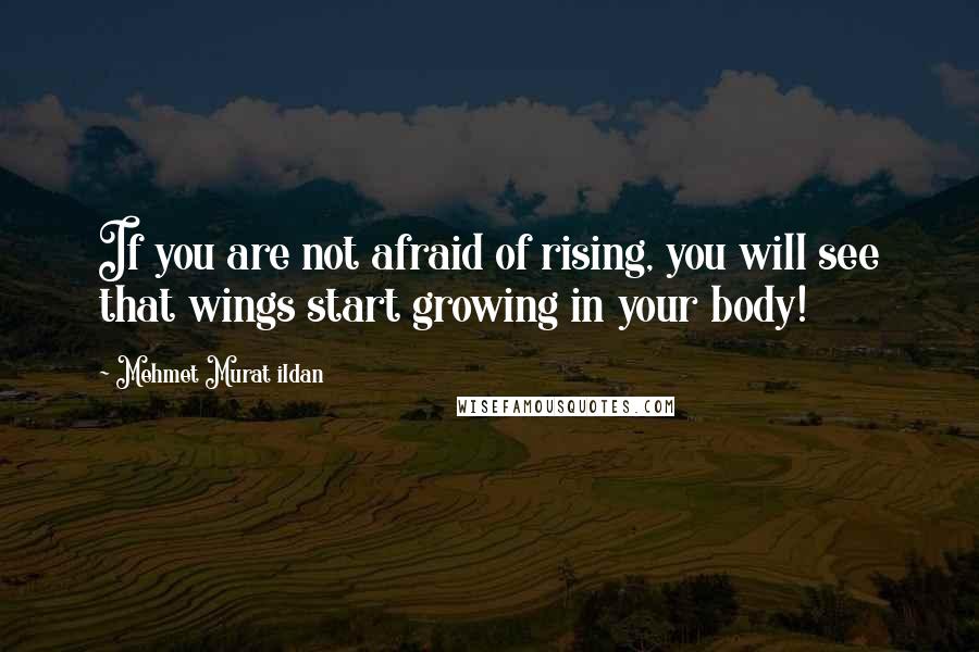 Mehmet Murat Ildan Quotes: If you are not afraid of rising, you will see that wings start growing in your body!