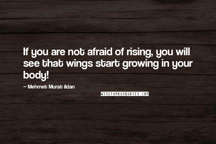 Mehmet Murat Ildan Quotes: If you are not afraid of rising, you will see that wings start growing in your body!