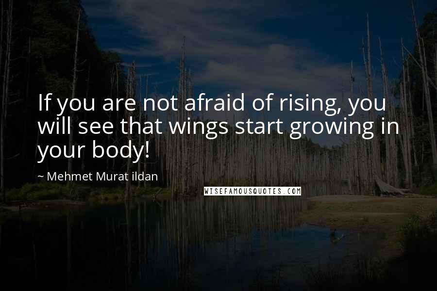 Mehmet Murat Ildan Quotes: If you are not afraid of rising, you will see that wings start growing in your body!