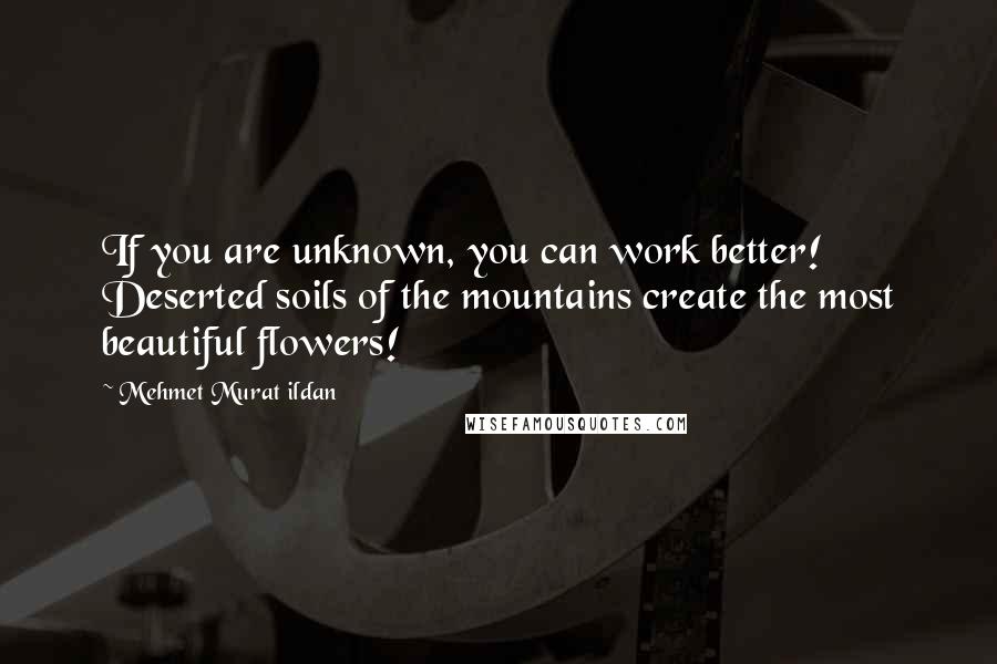 Mehmet Murat Ildan Quotes: If you are unknown, you can work better! Deserted soils of the mountains create the most beautiful flowers!