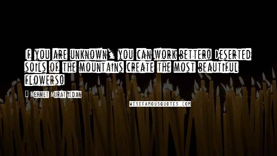 Mehmet Murat Ildan Quotes: If you are unknown, you can work better! Deserted soils of the mountains create the most beautiful flowers!